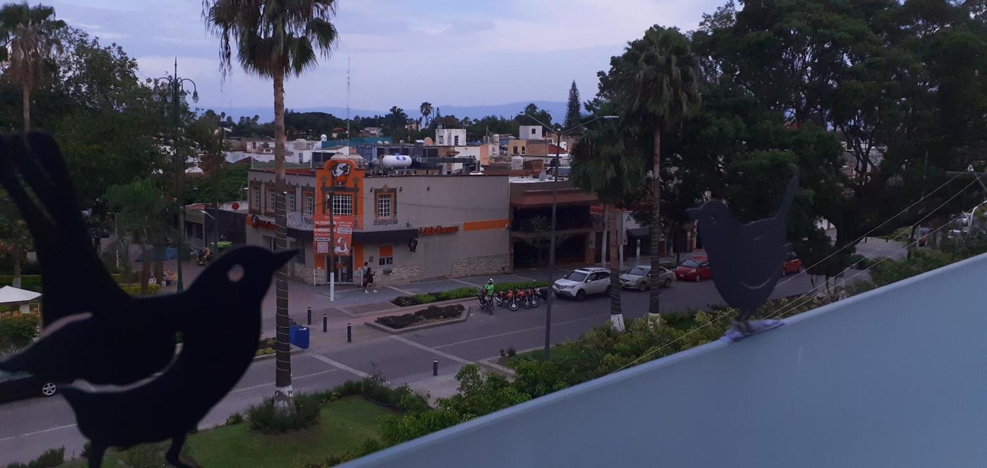 Aparta-Hotel Casa Real Apartamentos Chapala Δωμάτιο φωτογραφία