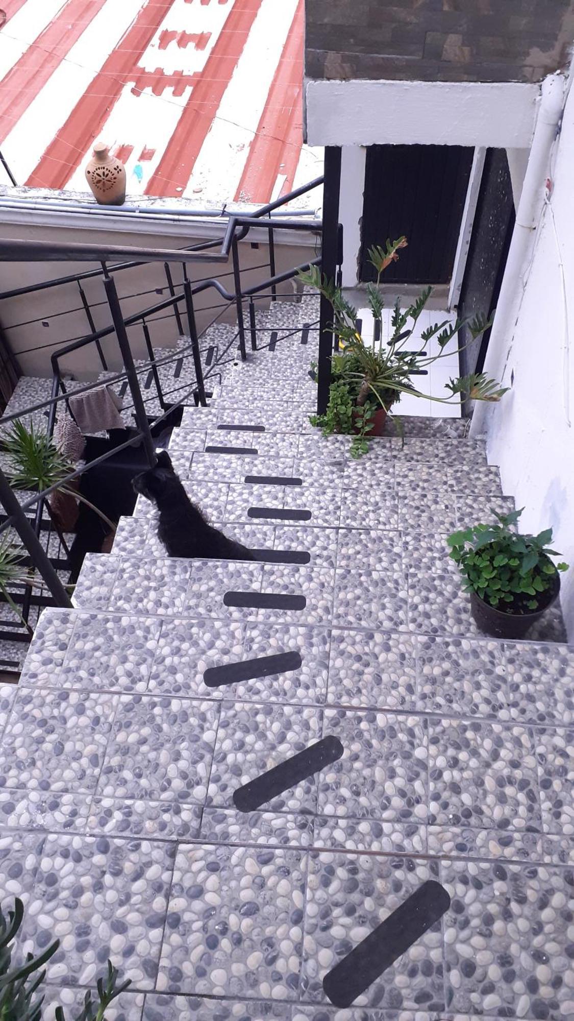 Aparta-Hotel Casa Real Apartamentos Chapala Δωμάτιο φωτογραφία